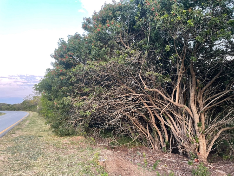 0 Bedroom Property for Sale in Bathurst Eastern Cape